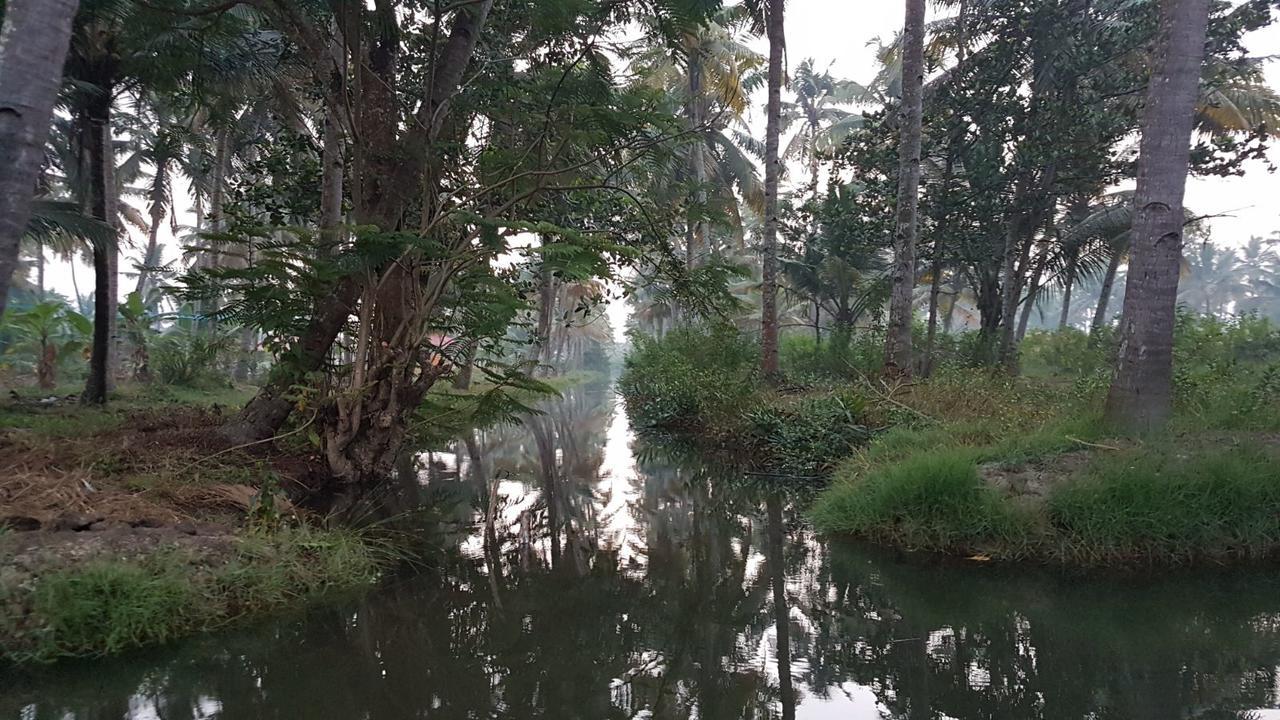 Munroe Coconut Homestay Mundrothuruth Экстерьер фото