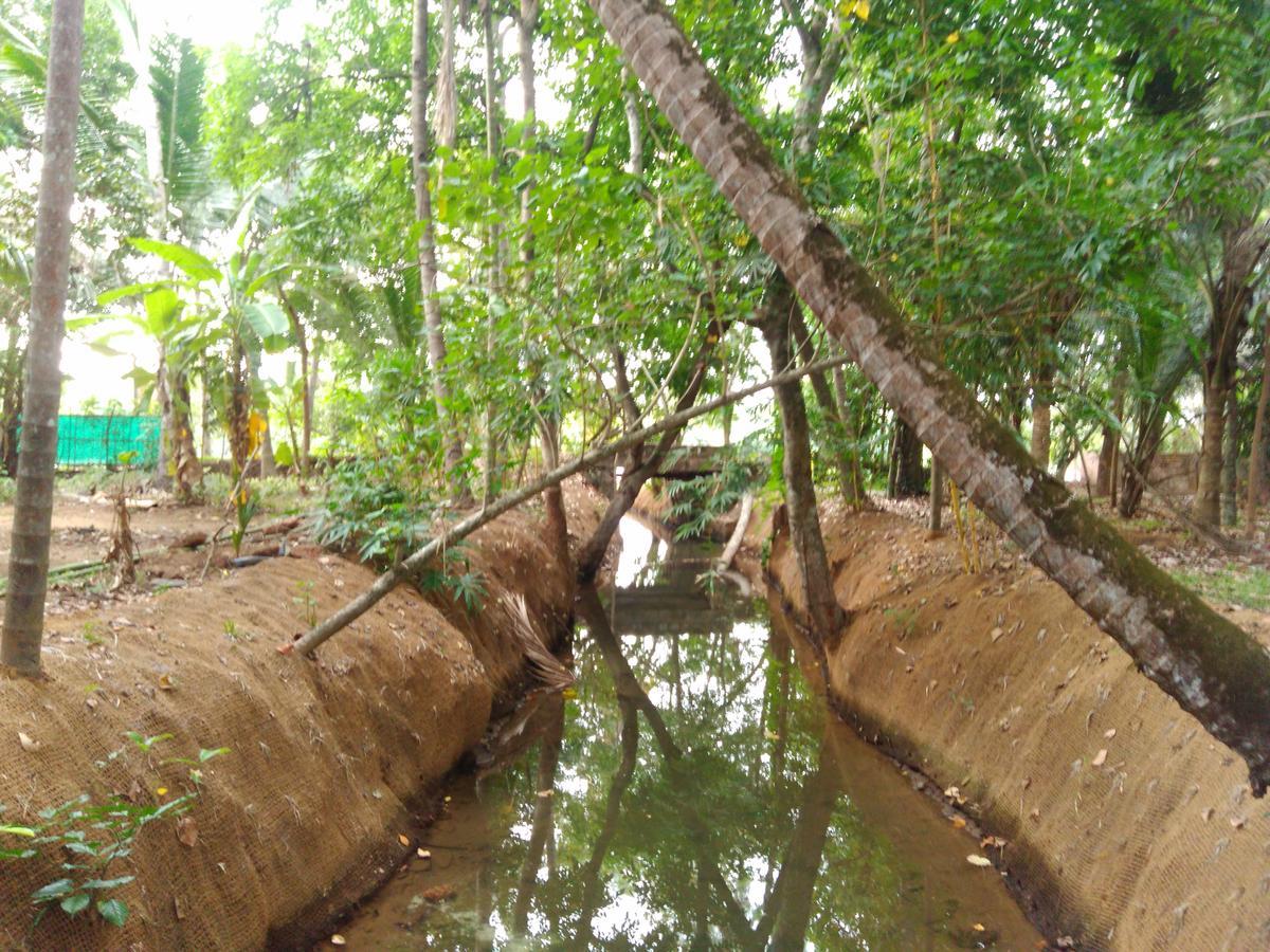 Munroe Coconut Homestay Mundrothuruth Экстерьер фото